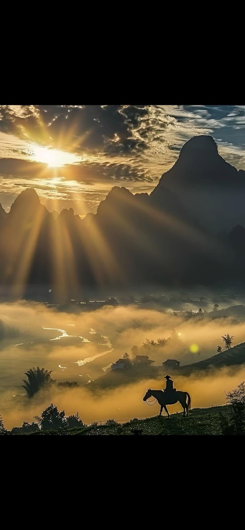 寄生虫站群是什么意思